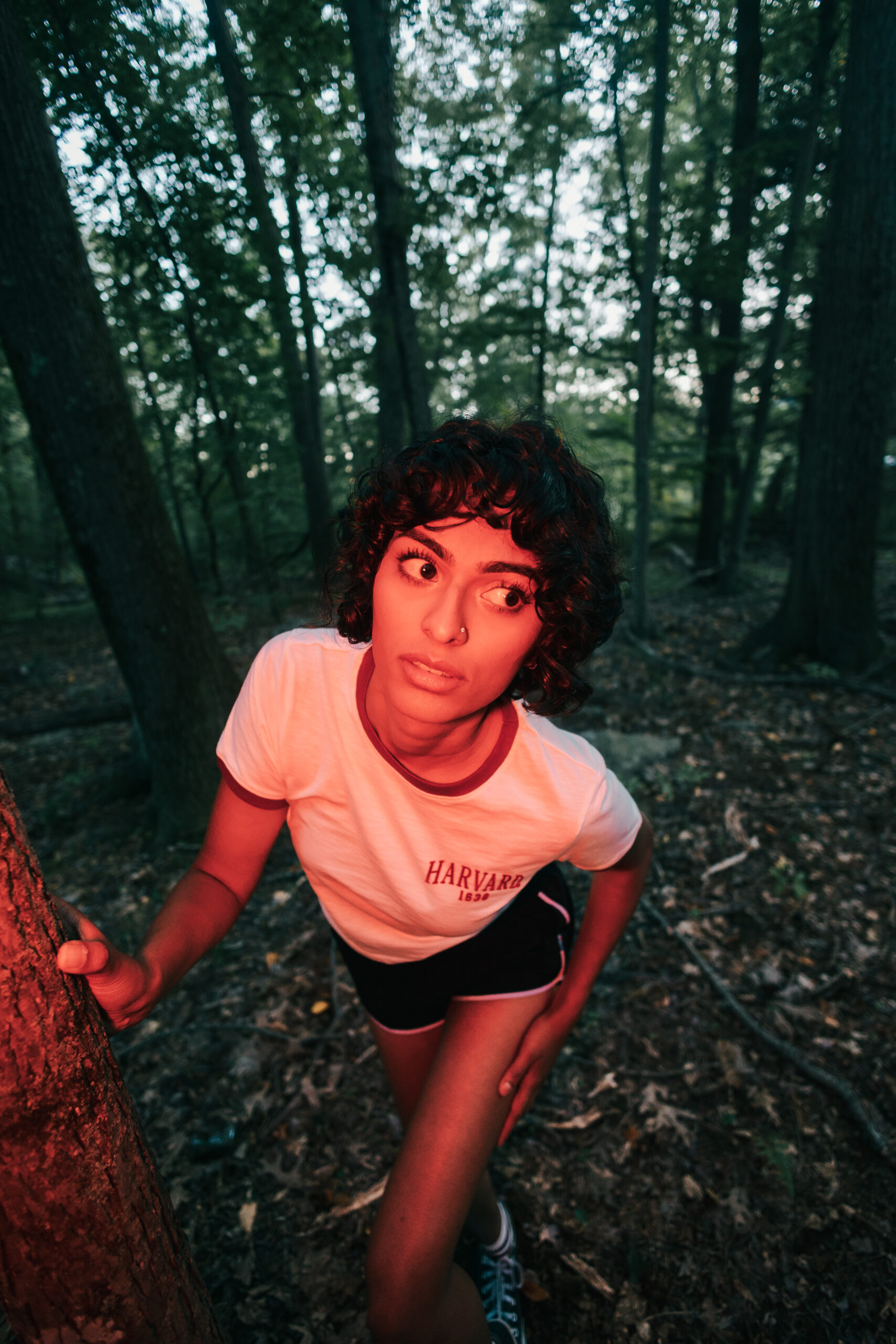 Camp Horror, image 7 of 9