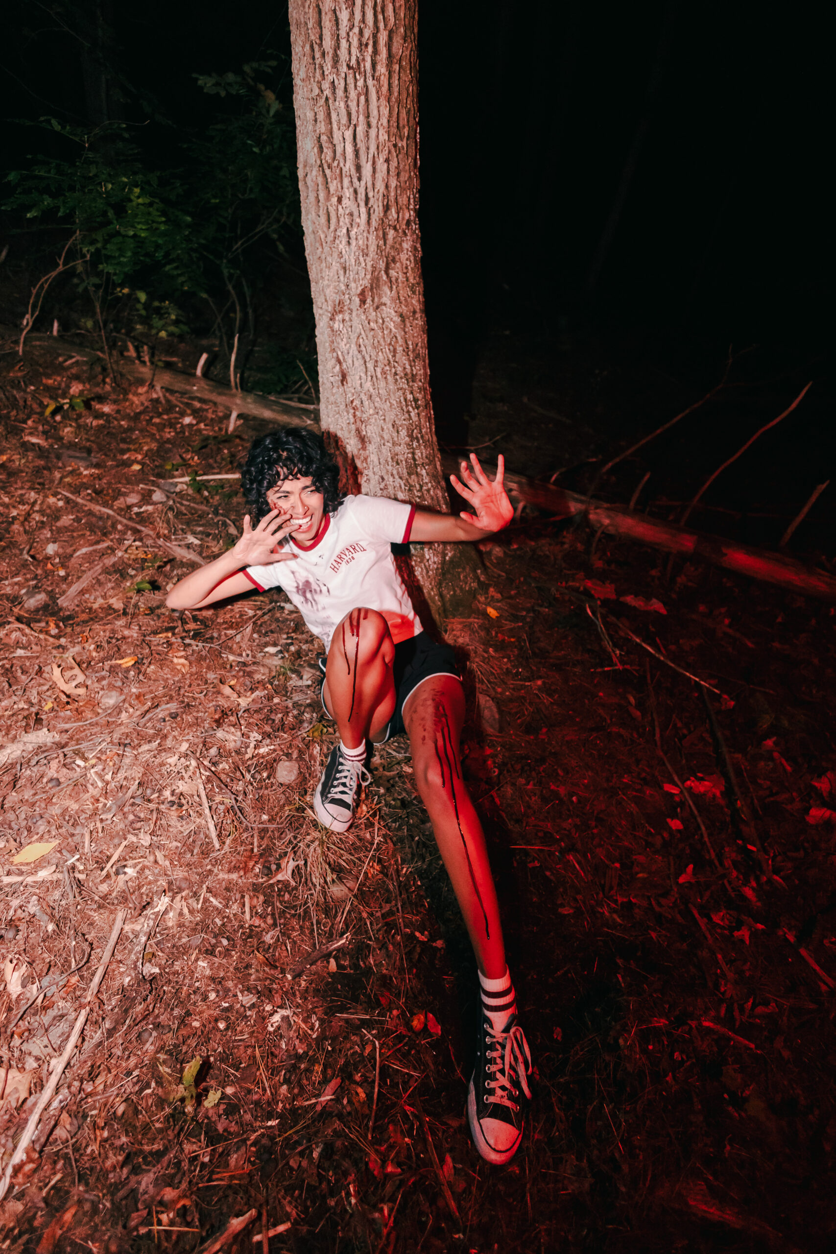Camp Horror, image 1 of 9